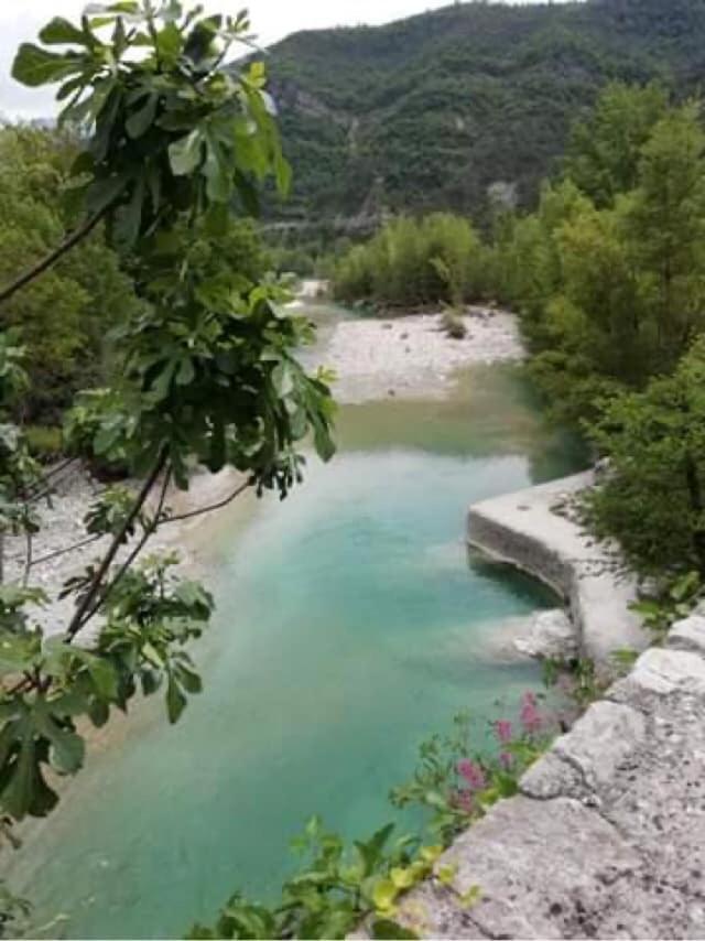 Campagnarde