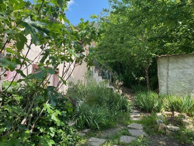 Campagnarde Séjour chez l'habitant Roquesteron